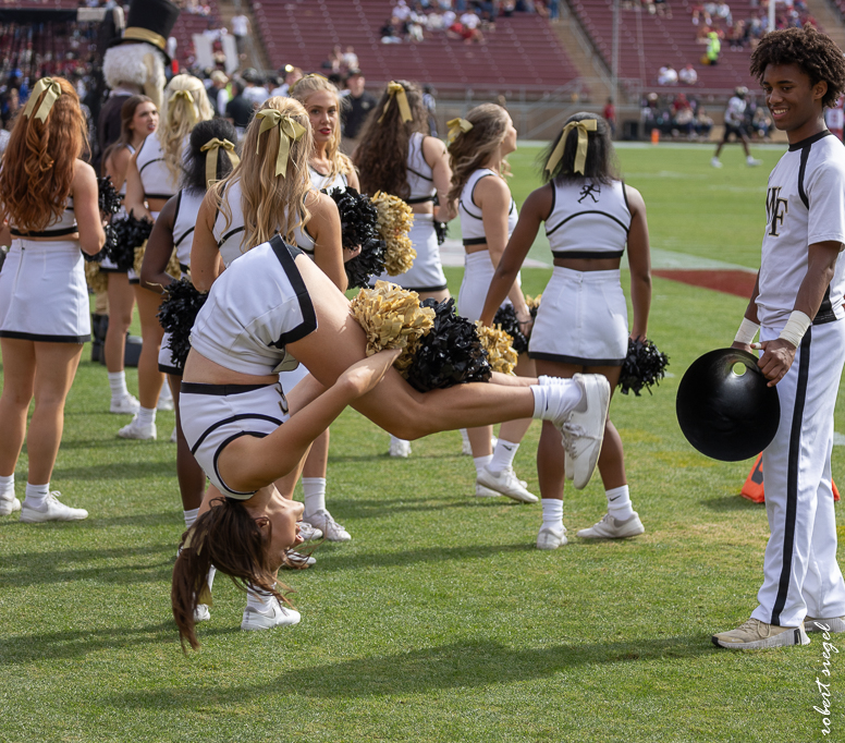 stanford football 2024